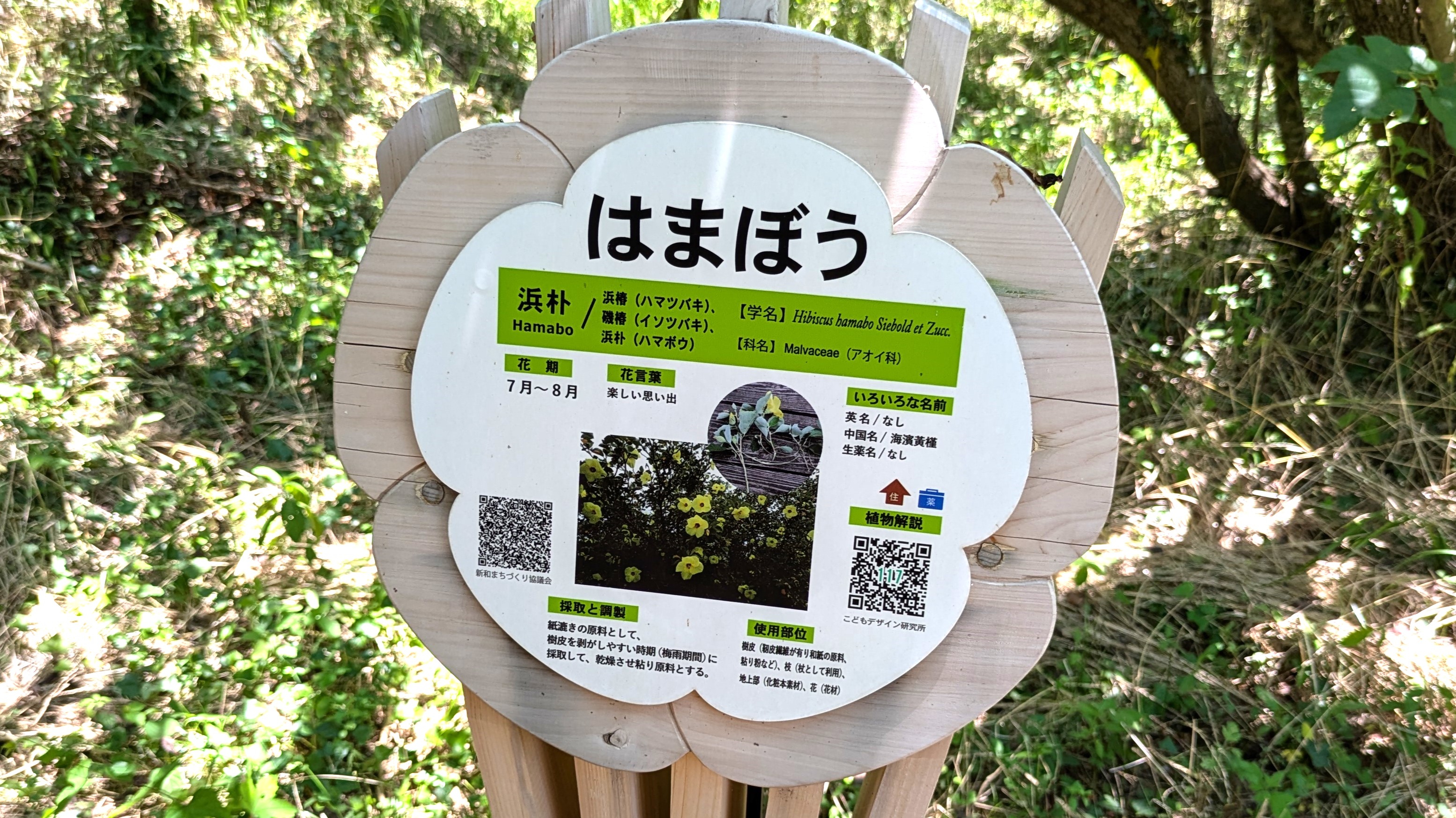 はまぼうの案内板