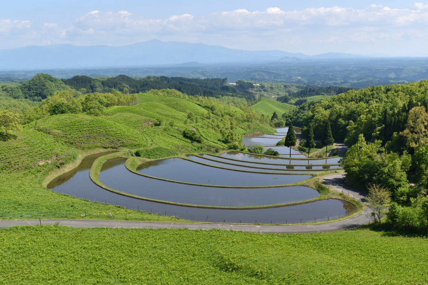 扇棚田