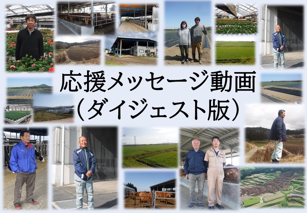 ダイジェストサムネイル