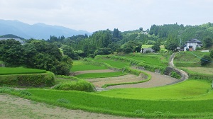 03_小崎棚田