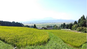 002_阿蘇水掛の棚田