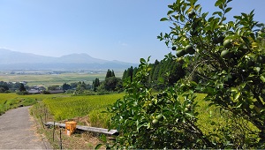 002_阿蘇水掛の棚田