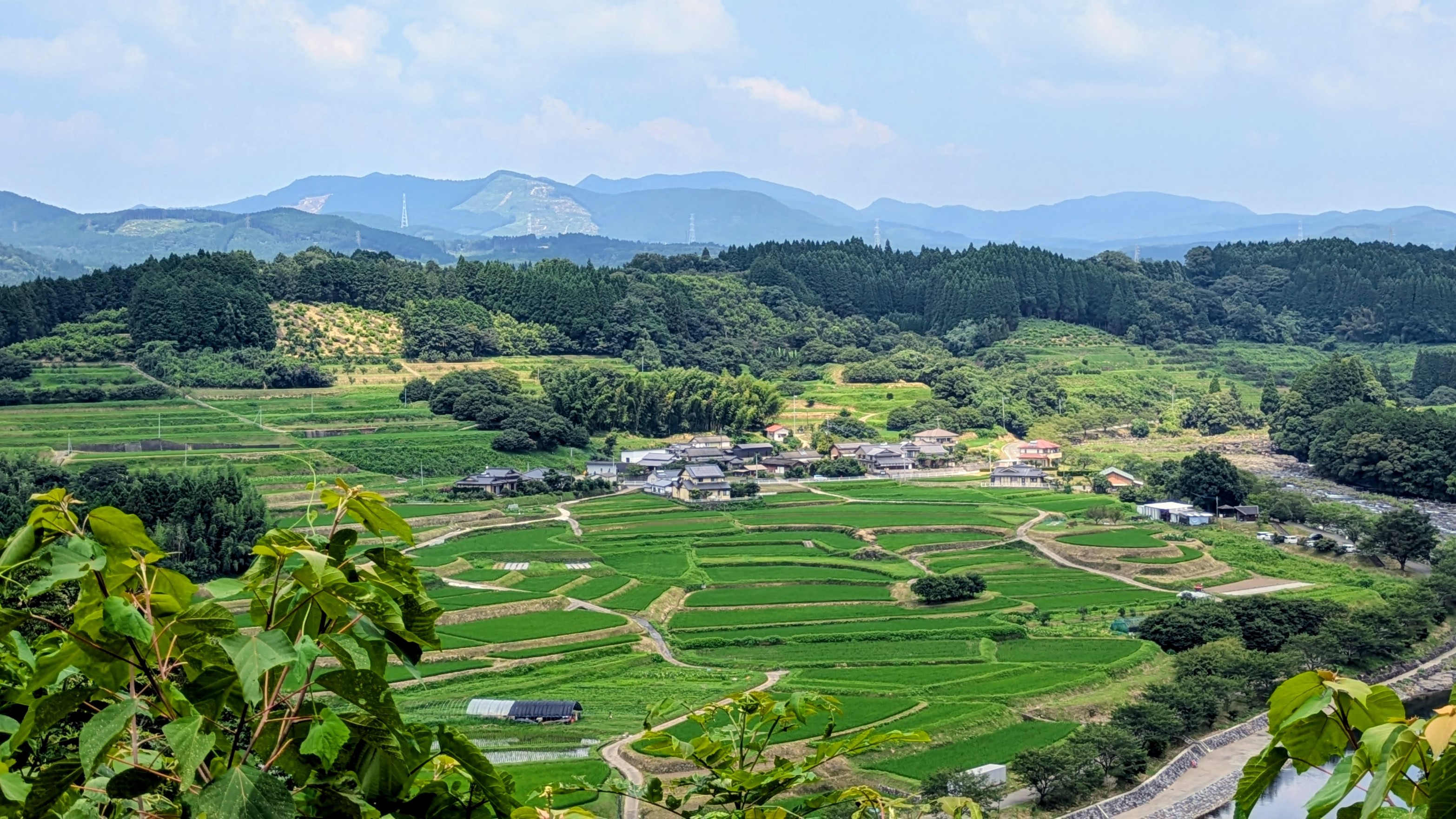滝棚田全体