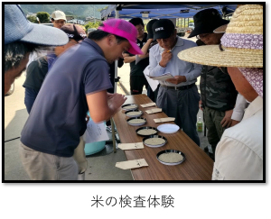 米の検査体験