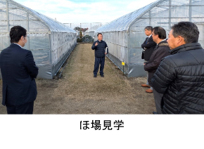 ほ場見学
