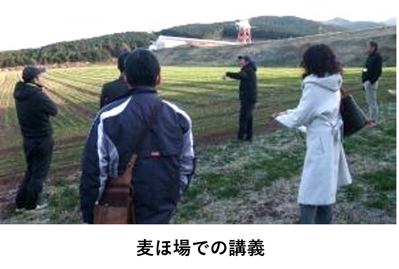 麦ほ場での講義