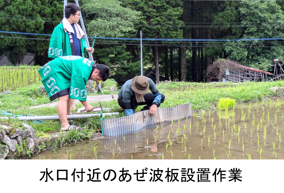水口付近のあぜ波板設置作業