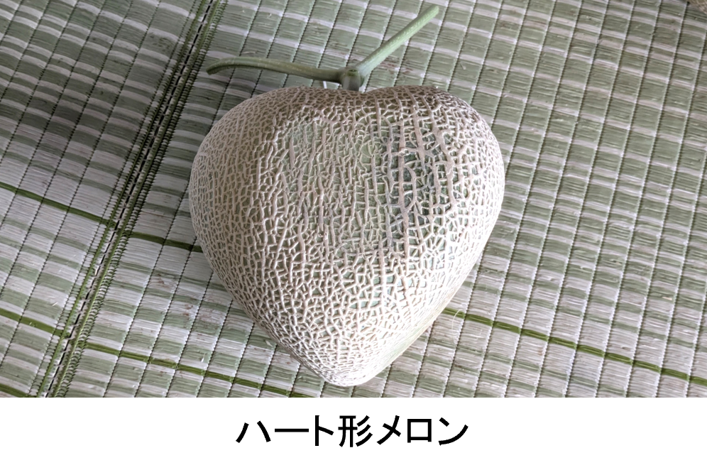ハート形メロン