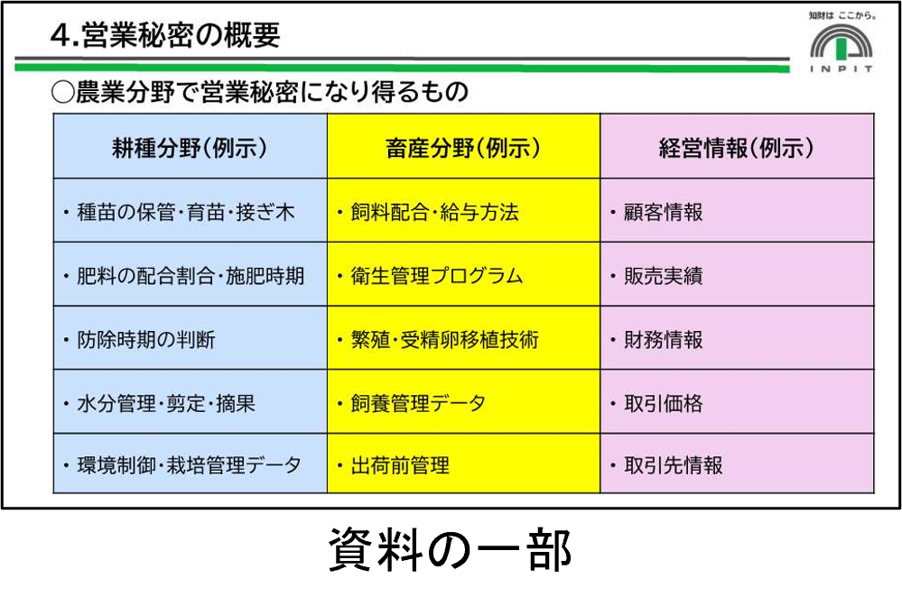 資料の一部