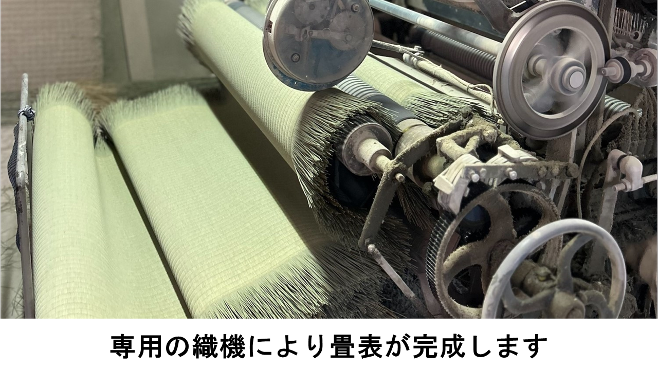 畳表