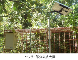 センサー部分の拡大図