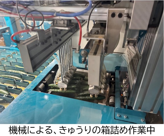 機械による箱詰め