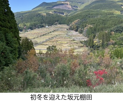坂元棚田