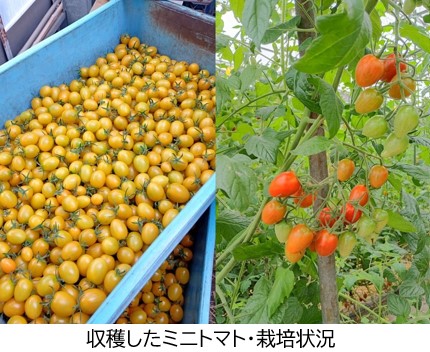 宮崎の写真館：九州農政局