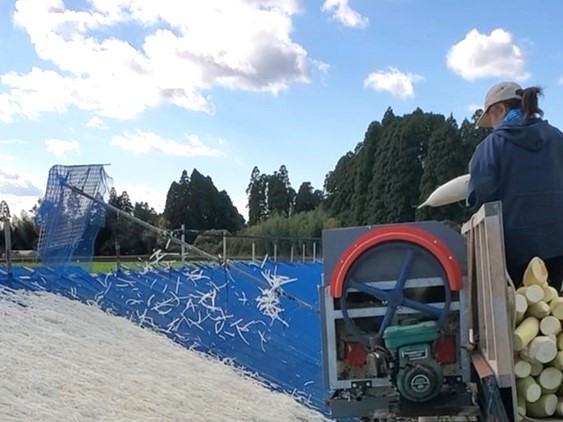 千切り大根干し