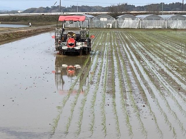 ロボット田植機1