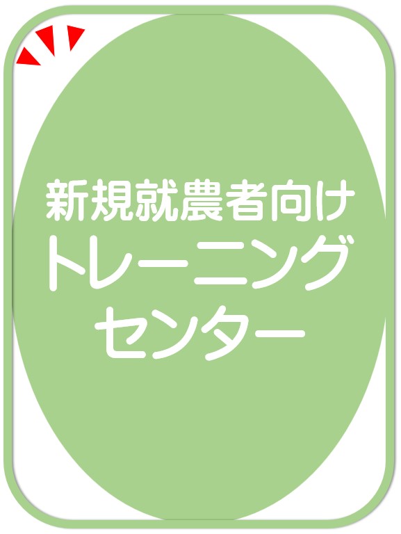 トレーニングセンター