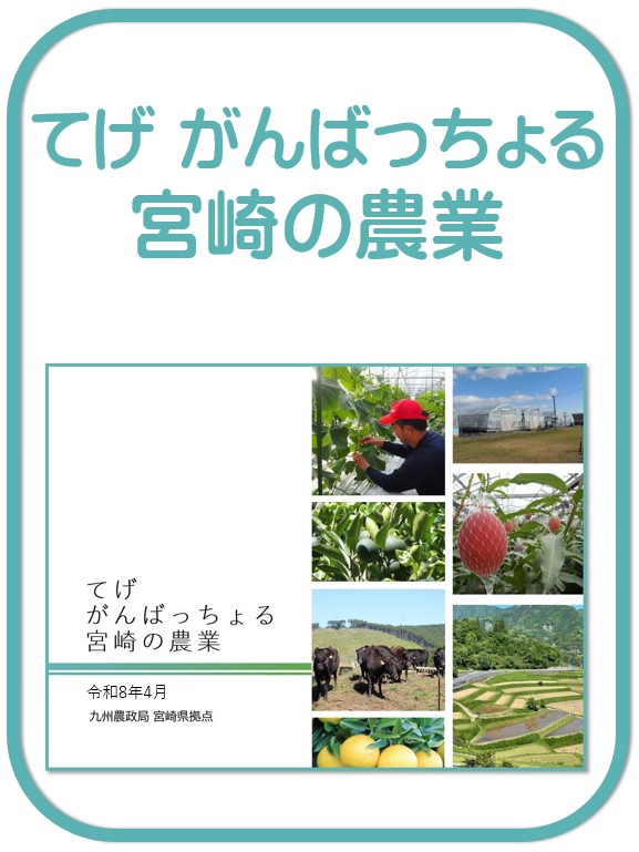 冊子 てげがんばっちょる農業