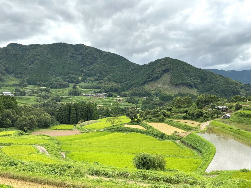 高千穂町の夏の棚田