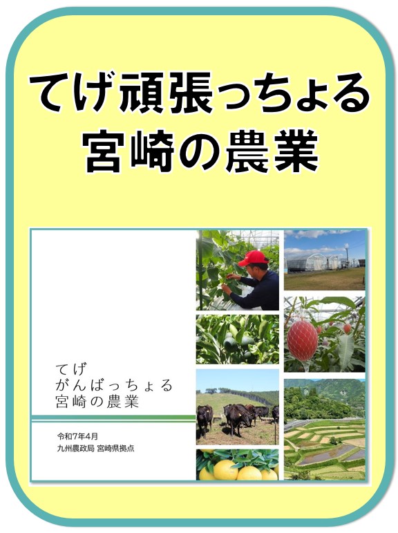 冊子 てげがんばっちょる農業