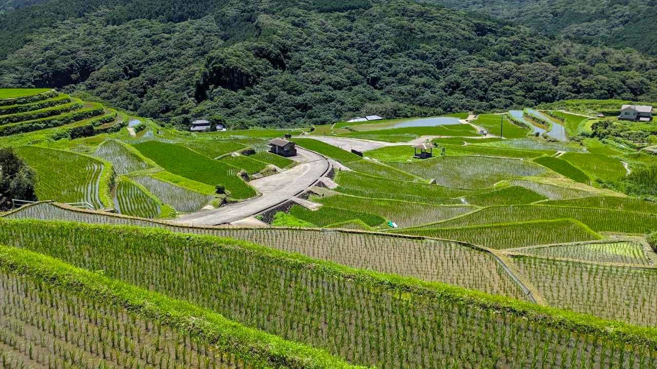 大中尾の棚田