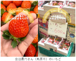 出田農園のいちご