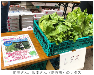 前田さん、坂本さんのレタス