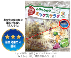 キャベツの等級は３つ星