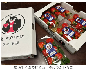 ゆめのかいちごの写真