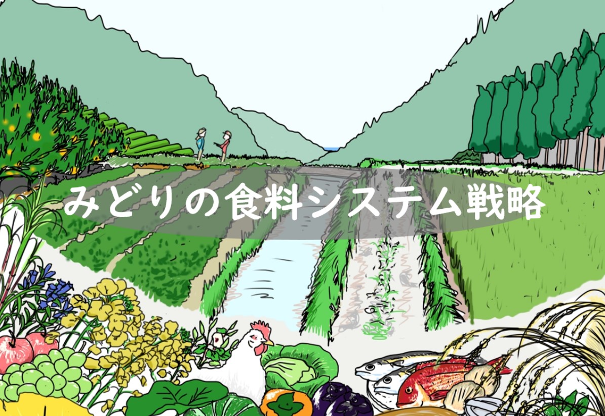 みどり１