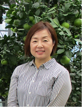 江藤