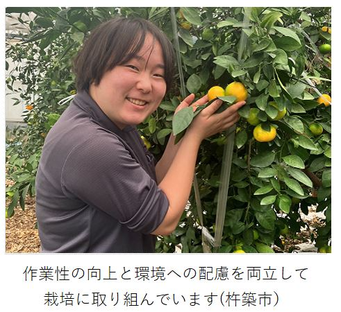樹上で色づいたみかんと映るあおい農園生産者
