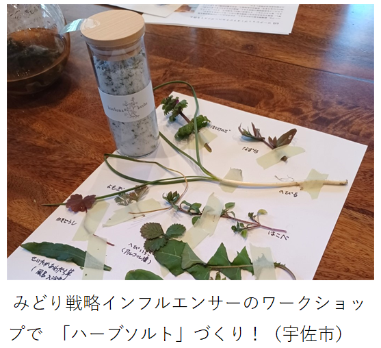 完成したハーブソルト