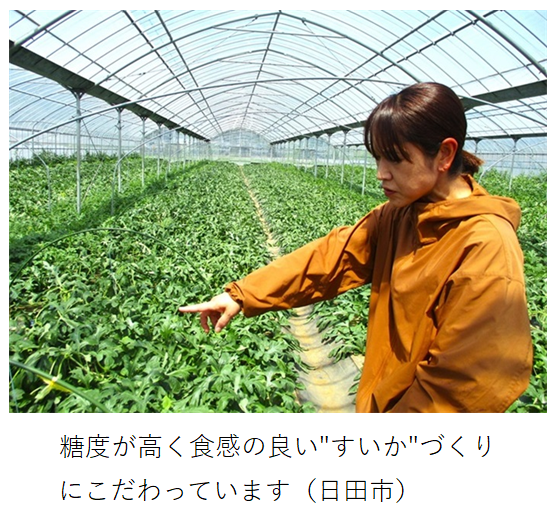 ハウス内で意見交換する様子