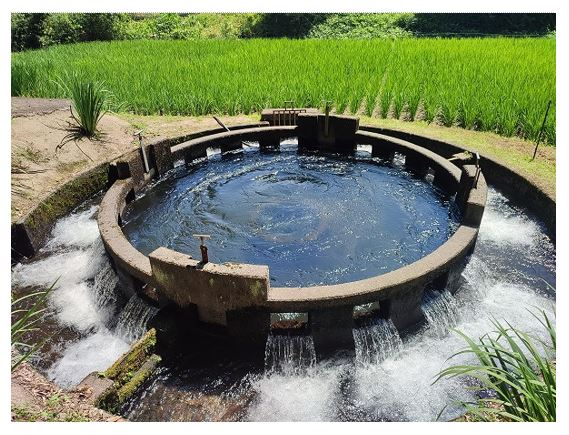 おとなしいろ「えんけいぶんすい」