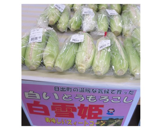 袋詰めされて販売中の白いとうもろこし「白雪姫」