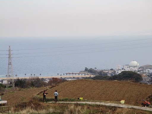 棚田の風景