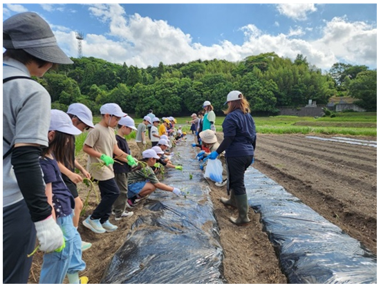並んで苗を植え付ける小学生