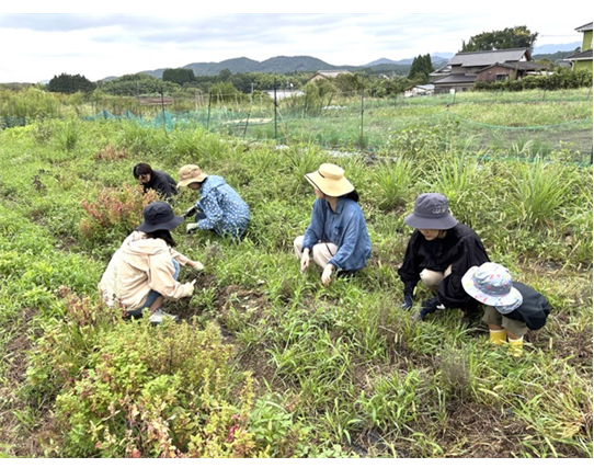 参加者と座って畑でハーブ採取