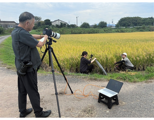 黄金色の稲田で、写真家がカメラを構え、農作業の様子を撮影しています。」