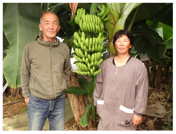 (株)豊後夢大陸のお二人