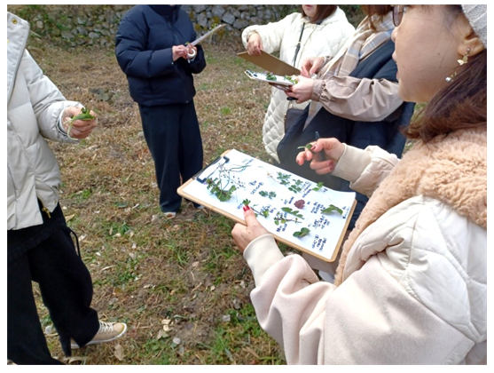 採取した野草を用意した台紙に貼ります