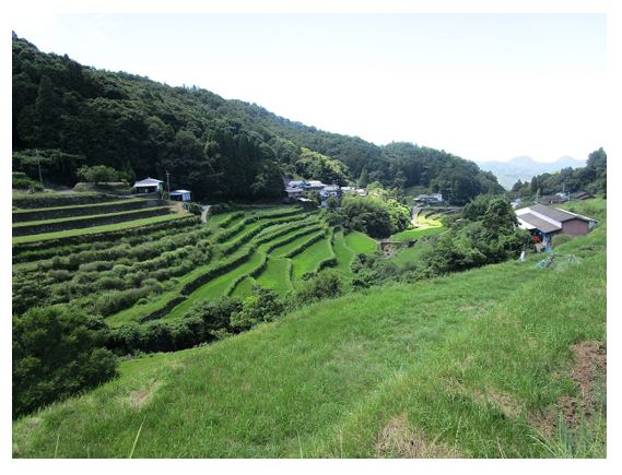 棚田遠景