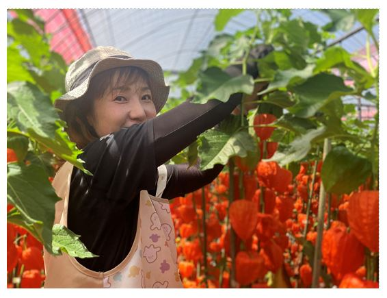 収穫作業中の水口さん