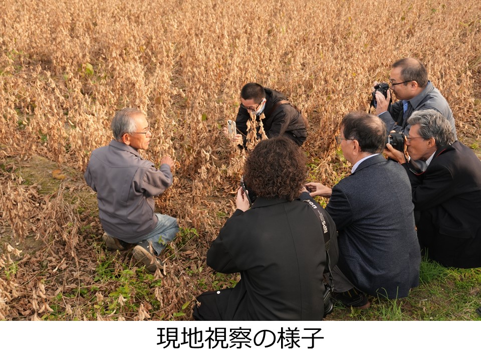 現地視察の様子