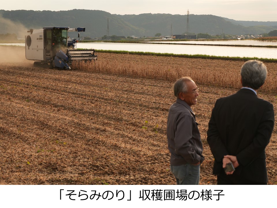 そらみのり収穫圃場の様子