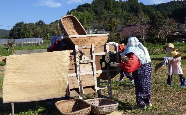 米の選別（唐箕）