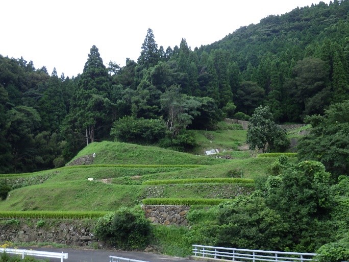 棚田1