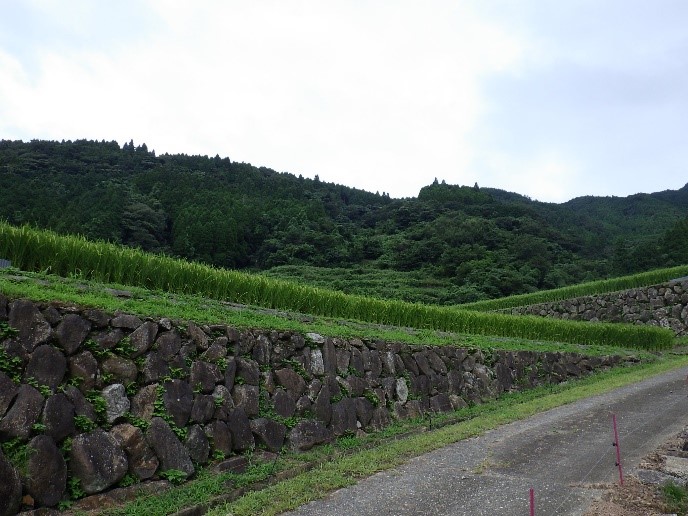 石垣1