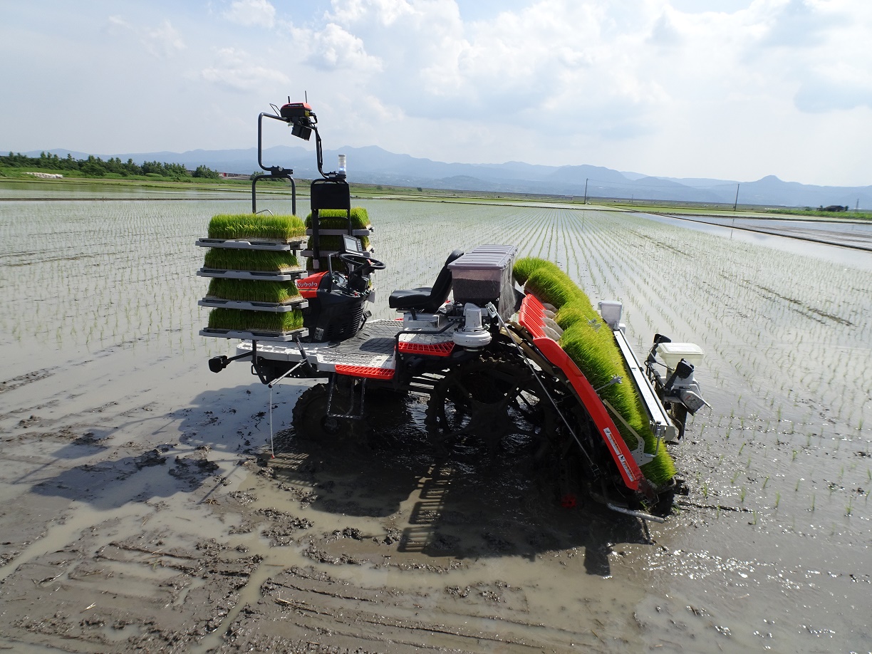 自動運転の田植え2